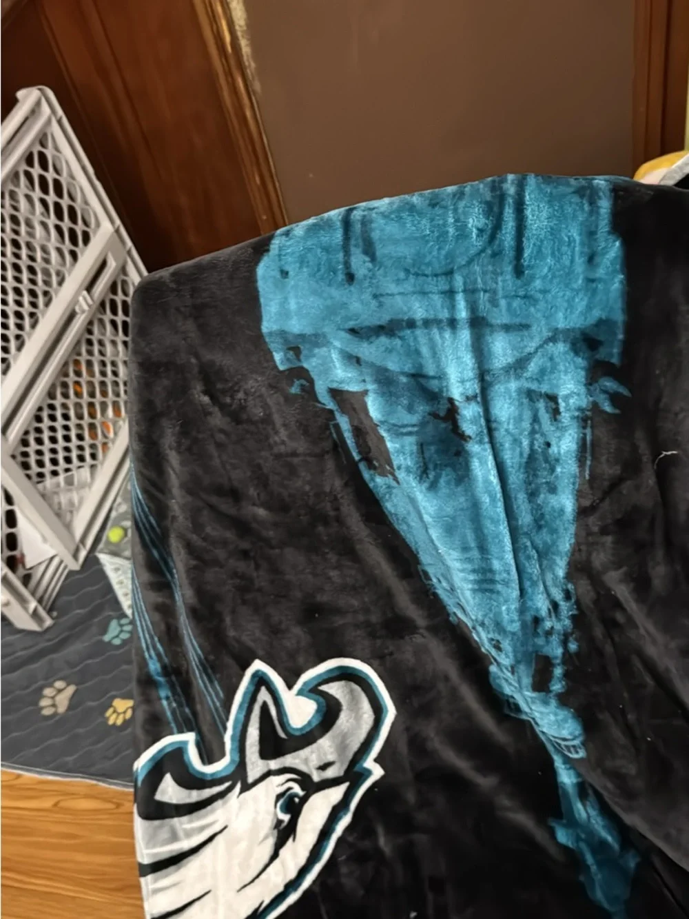 Eagles Plush Throw Blanket - Teal, Black & White